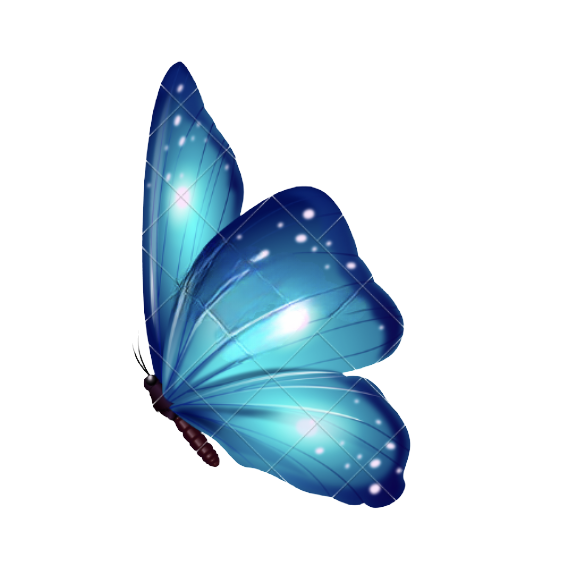 coachambereen.com